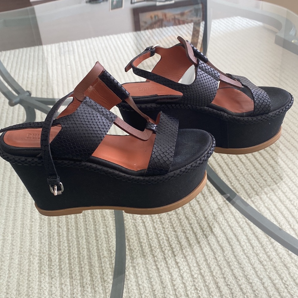 Philosophy wedges